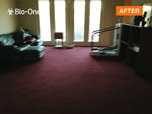hoarding cleanup after